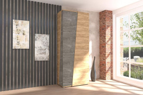 Аллегро-10 Шкаф двухдверный Диал в Покачах - pokachi.mebel-tymen.ru | фото