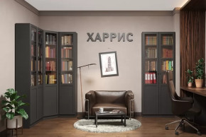 Библиотека Харрис в Покачах - pokachi.mebel-tymen.ru | фото
