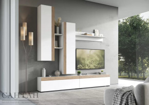 Гостиная НАО-Моно №1 в Покачах - pokachi.mebel-tymen.ru | фото