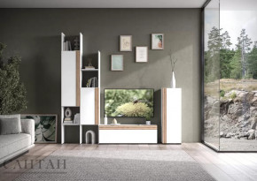 Гостиная НАО-Моно №3 в Покачах - pokachi.mebel-tymen.ru | фото