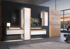 Гостиная НАО-Моно №7 в Покачах - pokachi.mebel-tymen.ru | фото