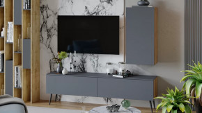 Гостиная «Порто» №3 Яблоня Беллуно, Графит софт в Покачах - pokachi.mebel-tymen.ru | фото