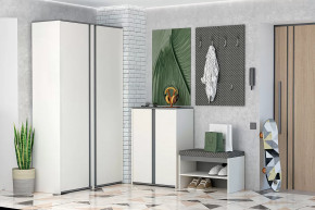 Иннэс-12 Прихожая №2 Диал в Покачах - pokachi.mebel-tymen.ru | фото