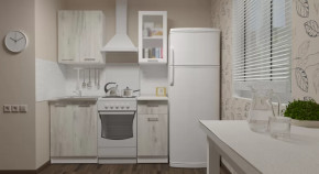 Кухонный гарнитур Алина мини 1000 мм в Покачах - pokachi.mebel-tymen.ru | фото