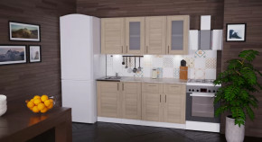 Кухонный гарнитур Лира демо 1700 мм в Покачах - pokachi.mebel-tymen.ru | фото