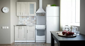 Кухонный гарнитур Лира мини 1000 мм в Покачах - pokachi.mebel-tymen.ru | фото