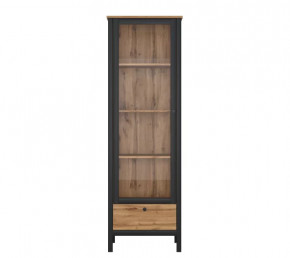 LOFT шкаф REG1W1S (Дуб вотан/Черный) в Покачах - pokachi.mebel-tymen.ru | фото