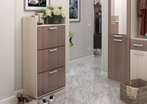 Обувница №2 Дели в Покачах - pokachi.mebel-tymen.ru | фото