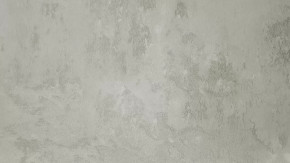 Панель пристенная 6х600х720 в Покачах - pokachi.mebel-tymen.ru | фото