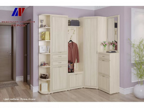 Прихожая Карина набор 5 в Покачах - pokachi.mebel-tymen.ru | фото