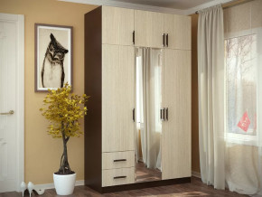 Шкаф 3-х створчатый с перегородкой венге/лоредо БТС в Покачах - pokachi.mebel-tymen.ru | фото