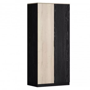 Шкаф двухстворчатый для одежды Дельта Лофт 13.02 в Покачах - pokachi.mebel-tymen.ru | фото