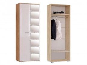 Шкаф Флай ШК-04 в Покачах - pokachi.mebel-tymen.ru | фото