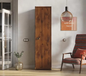 Шкаф JREG 1d Дуб саттер ИНДИАНА в Покачах - pokachi.mebel-tymen.ru | фото