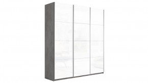 Шкаф-купе 3-х дверный «Траст» в Покачах - pokachi.mebel-tymen.ru | фото