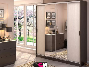 Шкаф-купе Альянс 2000 в Покачах - pokachi.mebel-tymen.ru | фото