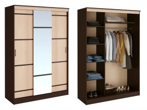 Шкаф-купе Сакура в Покачах - pokachi.mebel-tymen.ru | фото