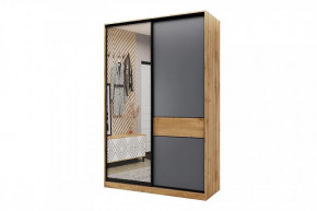 Шкаф-купе SLIM двухдверный BS15-6.ZD в Покачах - pokachi.mebel-tymen.ru | фото