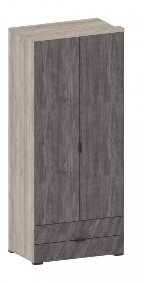 Шкаф Шаде ШК-2905 в Покачах - pokachi.mebel-tymen.ru | фото