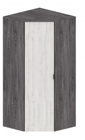 Шкаф Шаде ШК-2910 в Покачах - pokachi.mebel-tymen.ru | фото