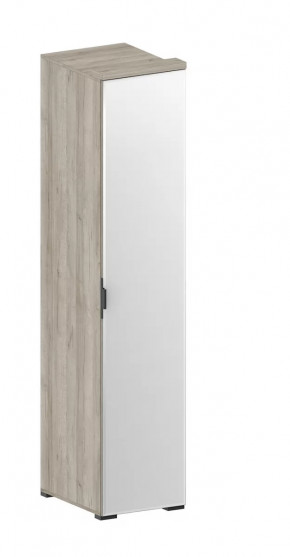 Шкаф Шаде ШК-2912 в Покачах - pokachi.mebel-tymen.ru | фото