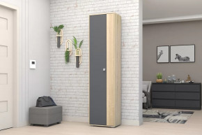 Шкаф ШК-01 Монако в Покачах - pokachi.mebel-tymen.ru | фото