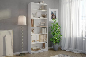 Стеллаж Бильд в Покачах - pokachi.mebel-tymen.ru | фото