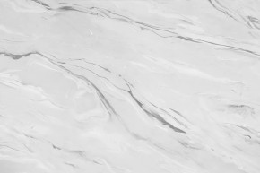 Стеновая панель №43, 3000*600*6 мм, аргус светлый в Покачах - pokachi.mebel-tymen.ru | фото