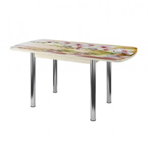 Стол Бостон-3 раздвижной, фотопечать Орхидея на воде/венге/хром брифинг в Покачах - pokachi.mebel-tymen.ru | фото