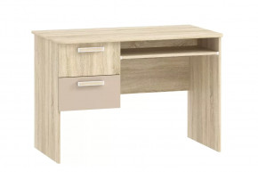 Стол для компьютера НМ 009.19-05 М2 Акварель в Покачах - pokachi.mebel-tymen.ru | фото