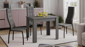 Стол обеденный «Промо» тип 1 Серый графит в Покачах - pokachi.mebel-tymen.ru | фото