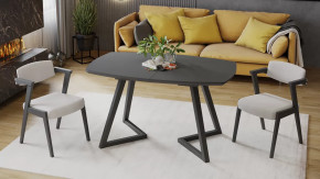 Стол обеденный «TESCA 2» Графит, Стекло графит матовое в Покачах - pokachi.mebel-tymen.ru | фото