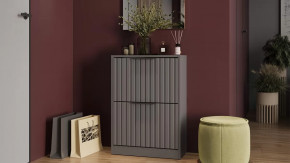 Тумба для обуви «Хилтон» Исп.2 Серый графит, Графит матовый в Покачах - pokachi.mebel-tymen.ru | фото