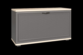 Тумба для обуви ТБ-1041 Карина в Покачах - pokachi.mebel-tymen.ru | фото