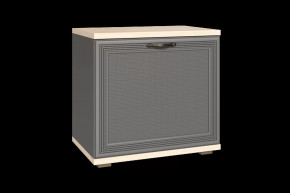 Тумба для обуви ТБ-1042 Карина в Покачах - pokachi.mebel-tymen.ru | фото