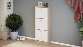 Тумба для обуви «Тетра» Тип 1 Исп. 2 в Покачах - pokachi.mebel-tymen.ru | фото