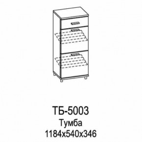 Тумба ТБ-5003 Грейс в Покачах - pokachi.mebel-tymen.ru | фото