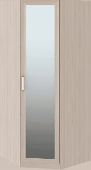 Волкер подростковая М01 Шкаф угловой в Покачах - pokachi.mebel-tymen.ru | фото