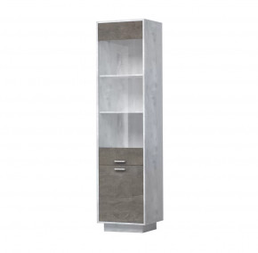 ЭГО ПС-1 Пенал с 2 дверьми 500 мм Диал в Покачах - pokachi.mebel-tymen.ru | фото